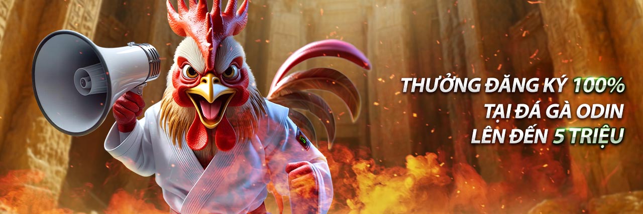 Thông tin cá nhân được thu thập