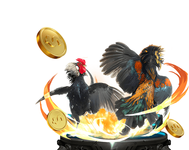 Biểu đồ tỷ lệ hoàn trả cao tại One88